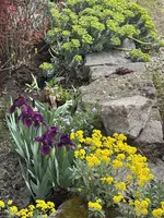 IMG_6504.jpeg