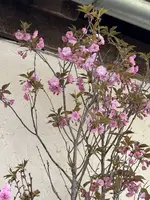 IMG_6494.jpeg