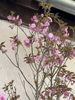 IMG_6494.jpeg