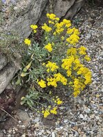 IMG_6479.jpeg