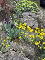 IMG_6480.jpeg