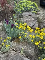 IMG_6480.jpeg