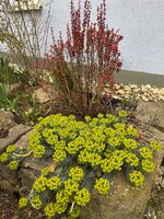 IMG_6481.jpeg
