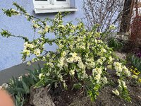 IMG_6503.jpeg