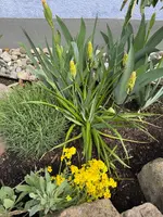 IMG_6502.jpeg