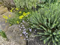 IMG_6501.jpeg