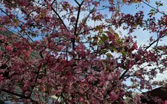 20250419_175034.webp