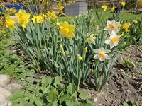 20250420_112831.webp