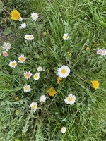 IMG_0385.jpeg