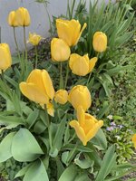 IMG_0390.jpeg