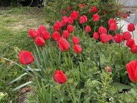 IMG_0392.jpeg