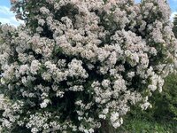 IMG_0394.jpeg