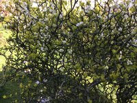 2B6DC837-9970-4B30-AFBF-EE04B1BE40D1.jpeg