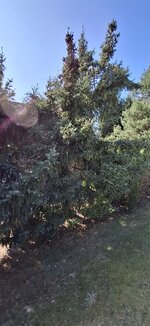 20250420_160943.jpg
