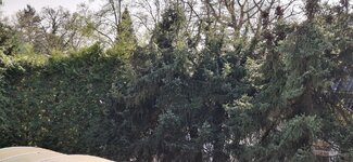 20250420_165455.jpg