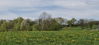 IMG-20250420-WA0010.jpg