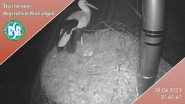 IMG_1961.jpeg