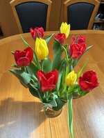 IMG_6521.jpeg