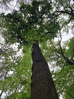 20250421_153755.jpg