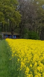 IMG_20250421_185638.jpg