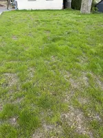 IMG_1258.jpeg