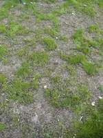 IMG_1256.jpeg