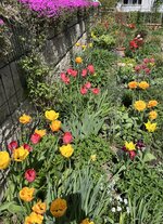 IMG_8423.jpeg