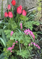 IMG_8412.jpeg