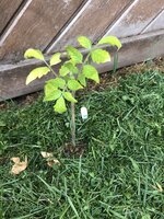 IMG_0360.jpeg