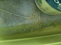 IMG_0362.jpeg