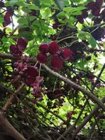 IMG_20250421_142713.jpg