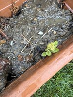 IMG_8183.jpeg
