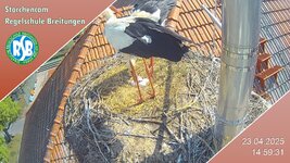 IMG_1968.jpeg