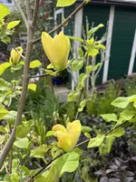 IMG_8429.jpeg