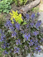 IMG_8432.jpeg
