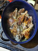 IMG_20250423_182032.jpg