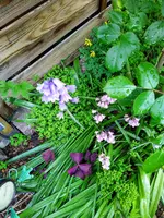 IMG_20250424_122739_1.webp