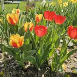 20250424_174806.webp
