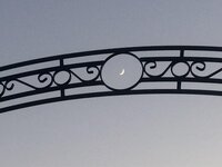IMG_0860.jpeg