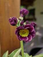 20250425_163327.jpg