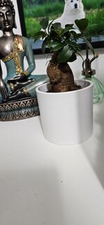 20250426_060742.jpg