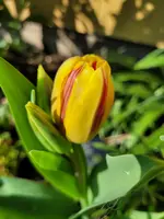 20250426_090955.webp