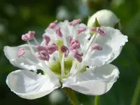 22.webp