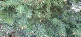 20250426_161809.webp