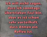 Bild.webp