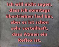 Bild.jpeg