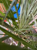IMG_0530.jpeg