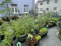 IMG_3142.JPG