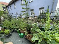 IMG_3138.JPG