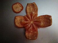 Citrus unshiu ´Miyagawa´ 3.jpg
